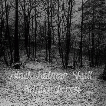 Black Kalmar Skull : Winter Forest